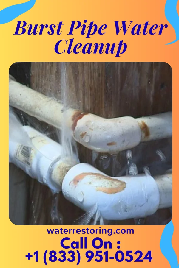 Burst Pipe Water Cleanup in Driftwood, PA