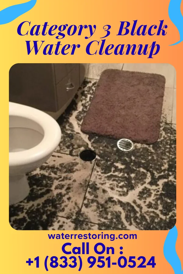 Category 3 Black Water Cleanup in Driftwood, PA