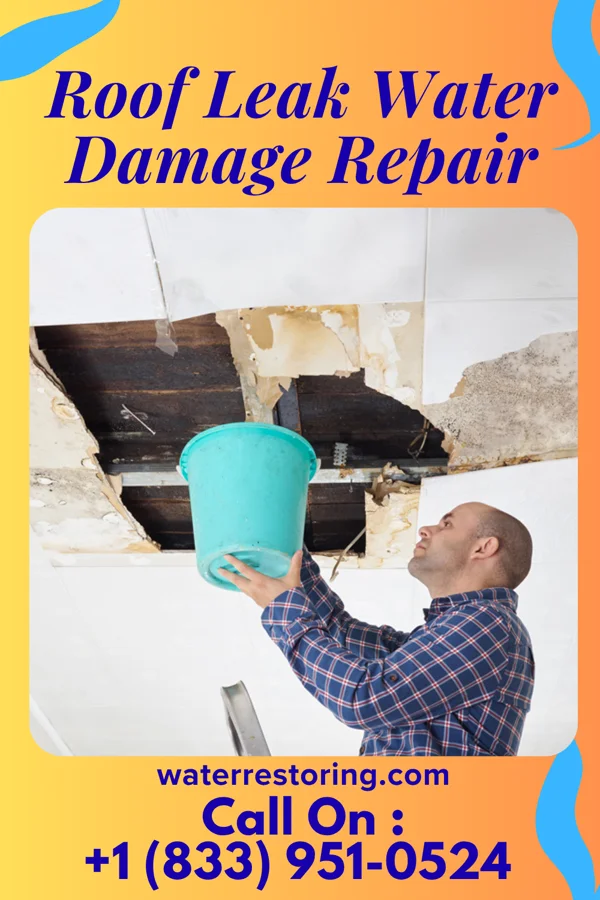 Roof Leak Water Damage Repair in Driftwood, PA