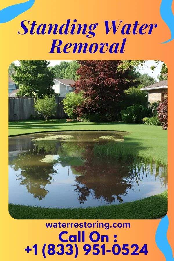 Standing Water Removal in Driftwood, PA